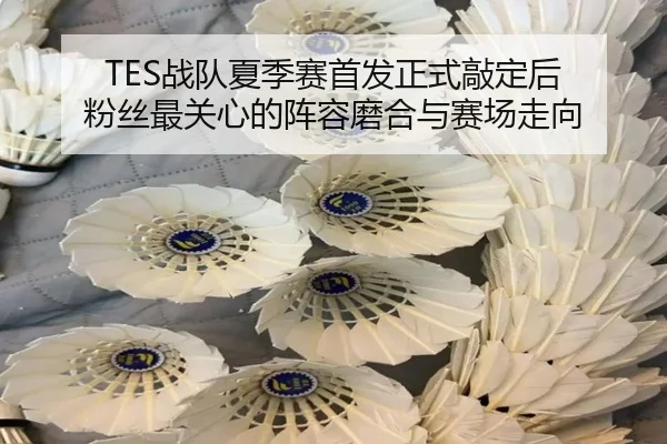 TES战队夏季赛首发正式敲定后 粉丝最关心的阵容磨合与赛场走向